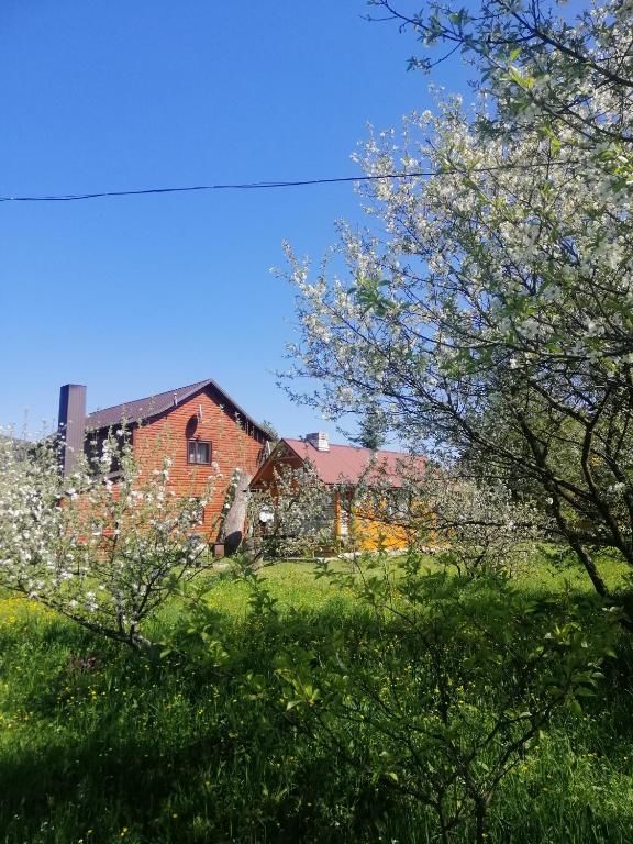 Дома для отпуска Medova Hata Микуличин-46