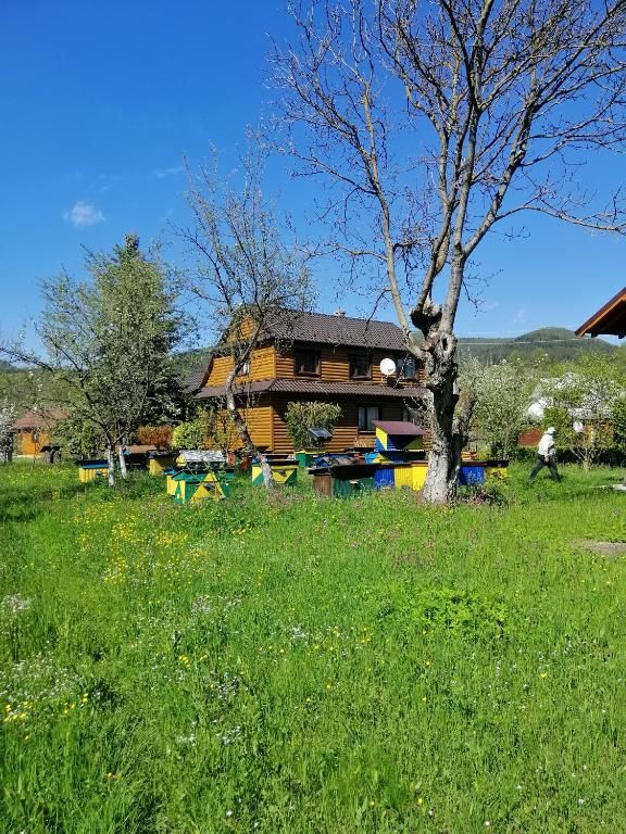 Дома для отпуска Medova Hata Микуличин-50